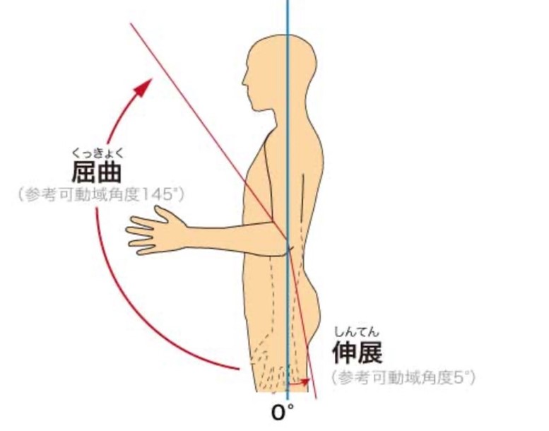 肘の可動域のイラスト