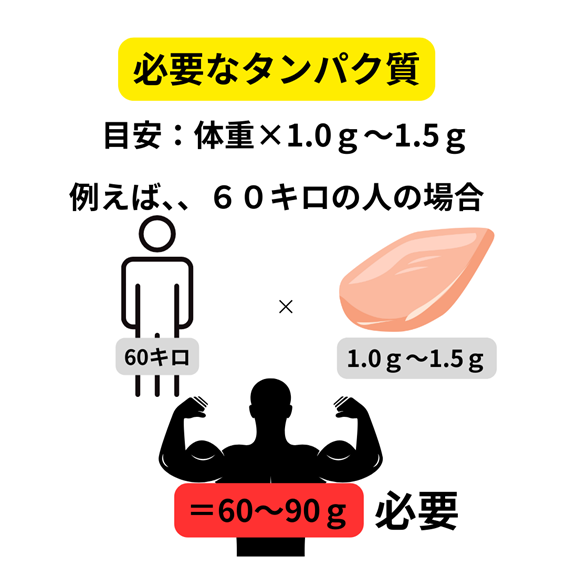 必要なたんぱく質　イラスト
