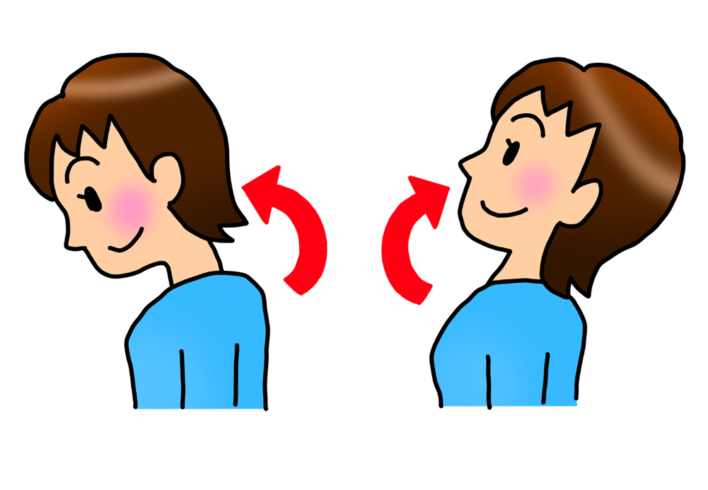 首を前後に倒すストレッチのイラスト